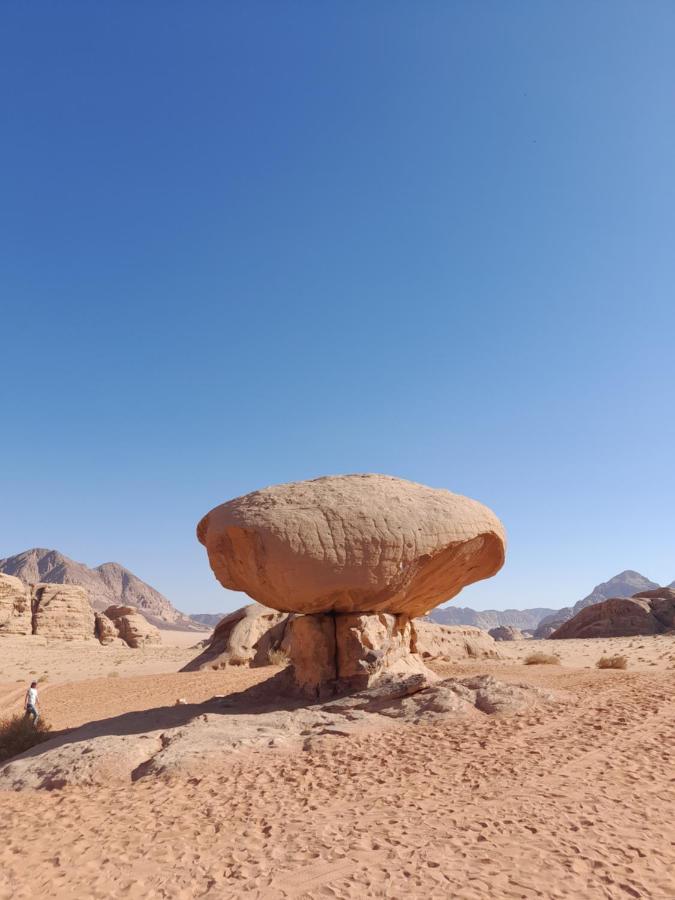 Wadi Rum Camels Camp Luaran gambar