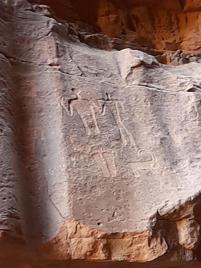 Wadi Rum Camels Camp Luaran gambar