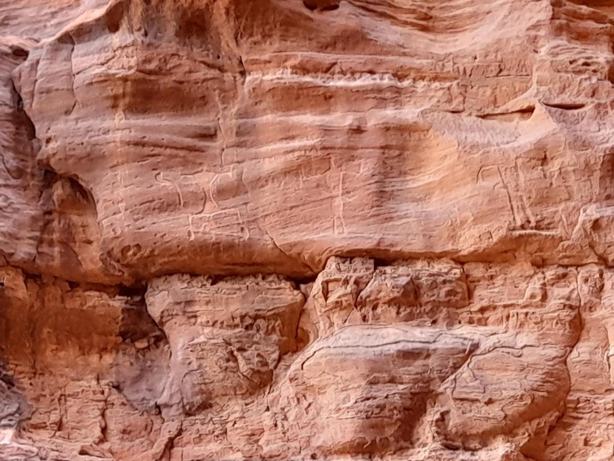 Wadi Rum Camels Camp Luaran gambar